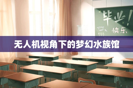 无人机视角下的梦幻水族馆