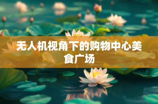 无人机视角下的购物中心美食广场