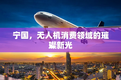 宁国，无人机消费领域的璀璨新光
