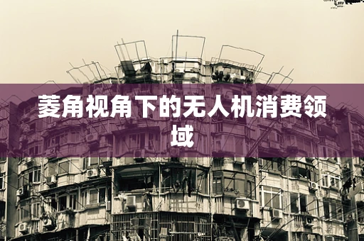 菱角视角下的无人机消费领域