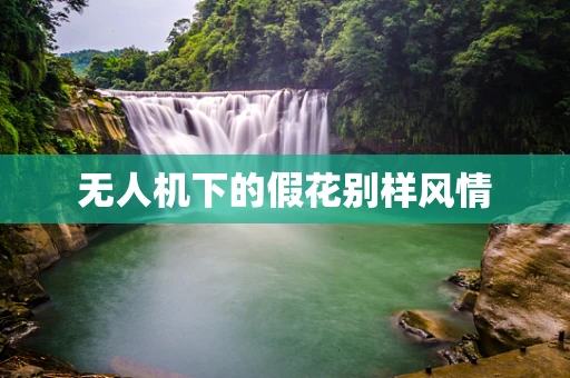 无人机下的假花别样风情