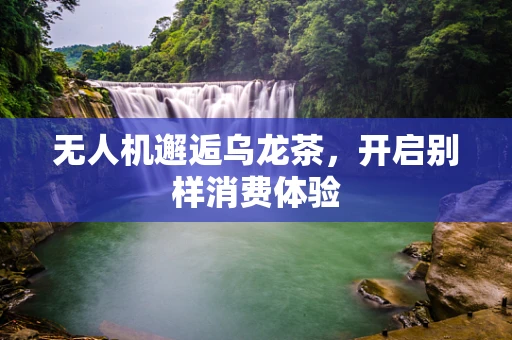 无人机邂逅乌龙茶，开启别样消费体验