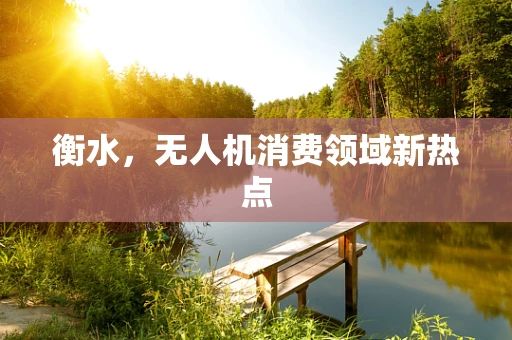 衡水，无人机消费领域新热点