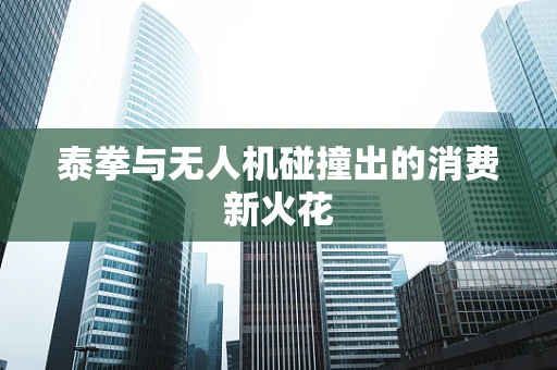 泰拳与无人机碰撞出的消费新火花
