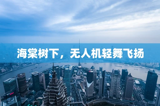 海棠树下，无人机轻舞飞扬