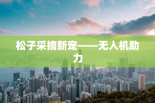 松子采摘新宠——无人机助力