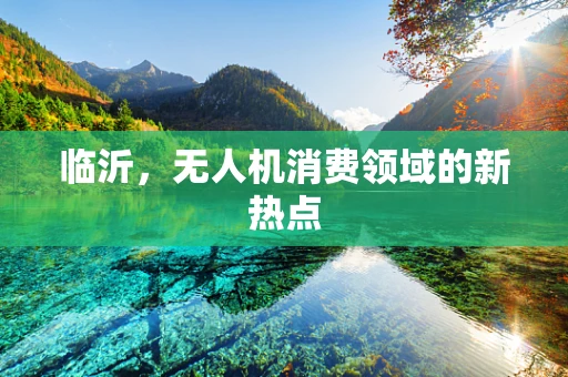 临沂，无人机消费领域的新热点