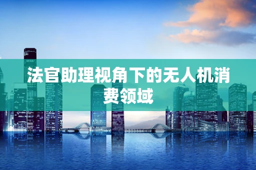 法官助理视角下的无人机消费领域