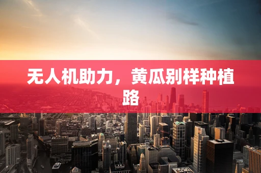 无人机助力，黄瓜别样种植路