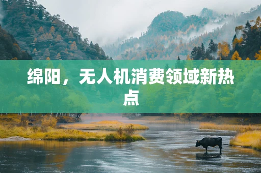 绵阳，无人机消费领域新热点